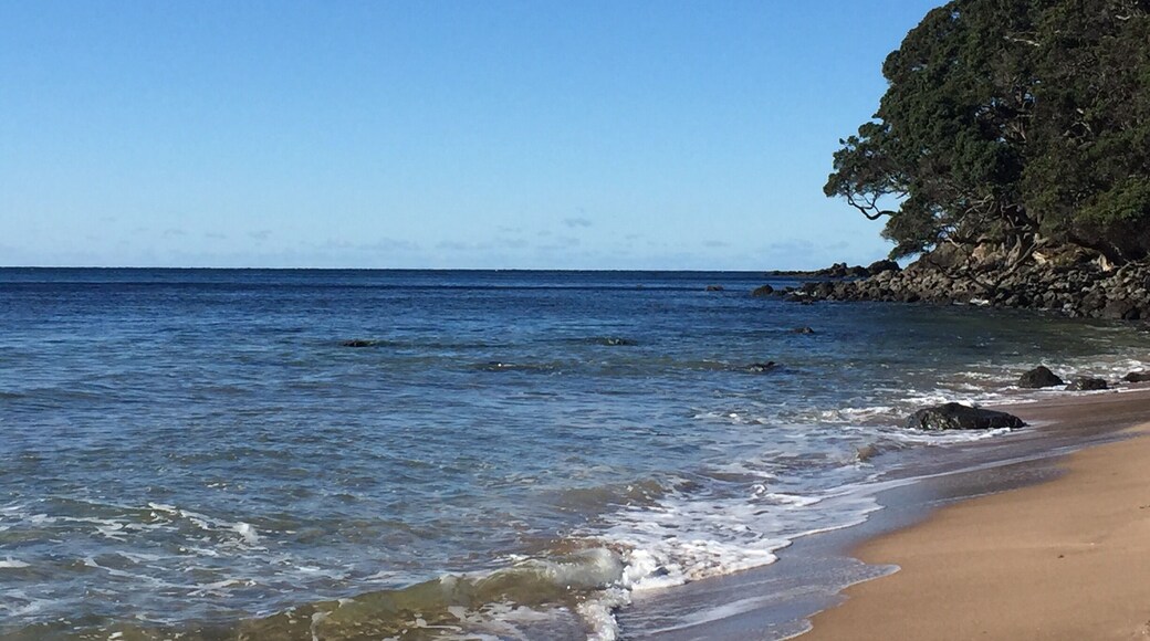 Awesome place to have a hot soak during New Zealand's winter months...if you're up to braving the chill in the air...plus it's a gorgeous view. Just find a spot at low tide, dig a hole and watch the warm water bubble up from the hot earth below #wanderlust