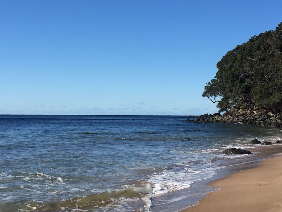 Awesome place to have a hot soak during New Zealand's winter months...if you're up to braving the chill in the air...plus it's a gorgeous view. Just find a spot at low tide, dig a hole and watch the warm water bubble up from the hot earth below #wanderlust