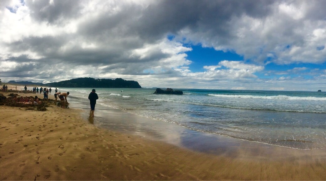 In the chaos of trying to stay warm in the hot springs at hot water beach. #EndlessSummer