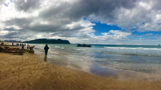 In the chaos of trying to stay warm in the hot springs at hot water beach. #EndlessSummer