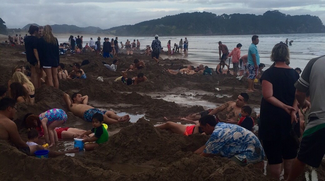 Hot water beach is quite the experience. You have to go 2hours +/- low tide, bring a spade (most places rent them, I was able to get one from my hostel), and you can dig your own hot tub on the beach! However it definitely takes more than one person to dig the right size hole! So make some friends and work together! It's also not a very big area, and only some spots are hot, so you can start digging and have a "bust" of a location. It's very strange and super awesome. And warning it's VERY HOT in places. I near burned myself numerous times with my hands or feet digging deeper in the sand!
Overall though - DO IT. Awesome, can't do most places experience.