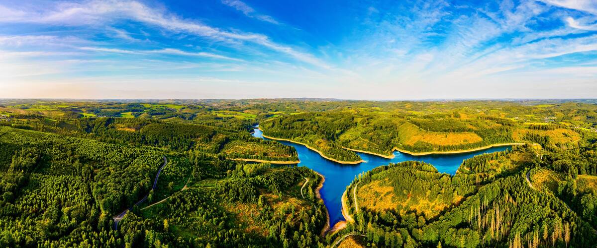 A river meandering through a dense forest with a clear sky above.