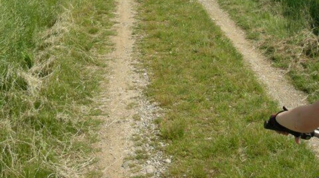 Feldweg bei Wolfesing