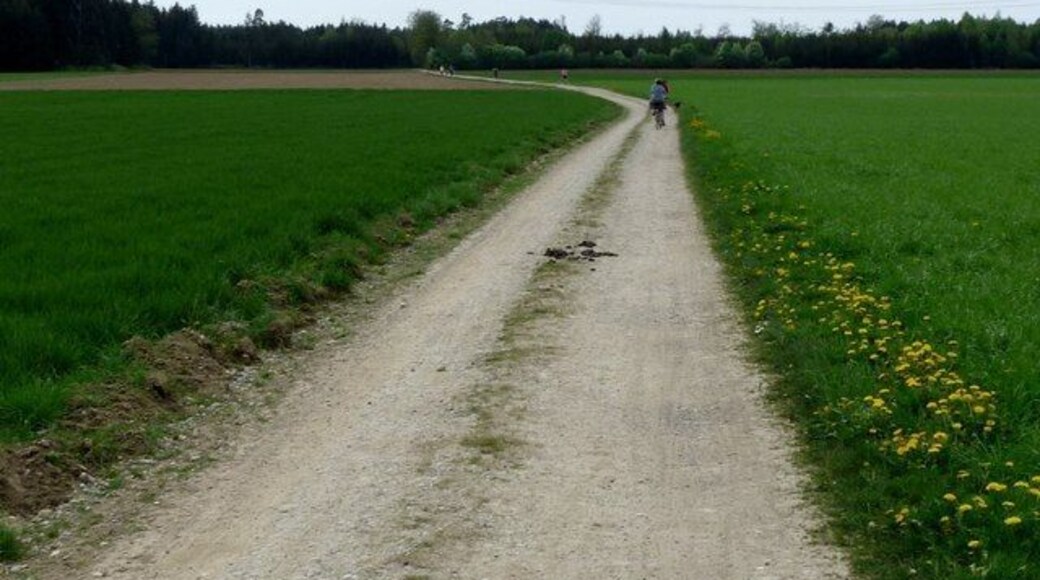 Feldweg bei Ingelsberg