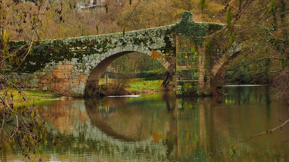 A stone bridge over a calm river, surrounded by trees and grass.