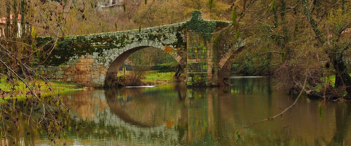 A stone bridge over a calm river, surrounded by trees and grass.