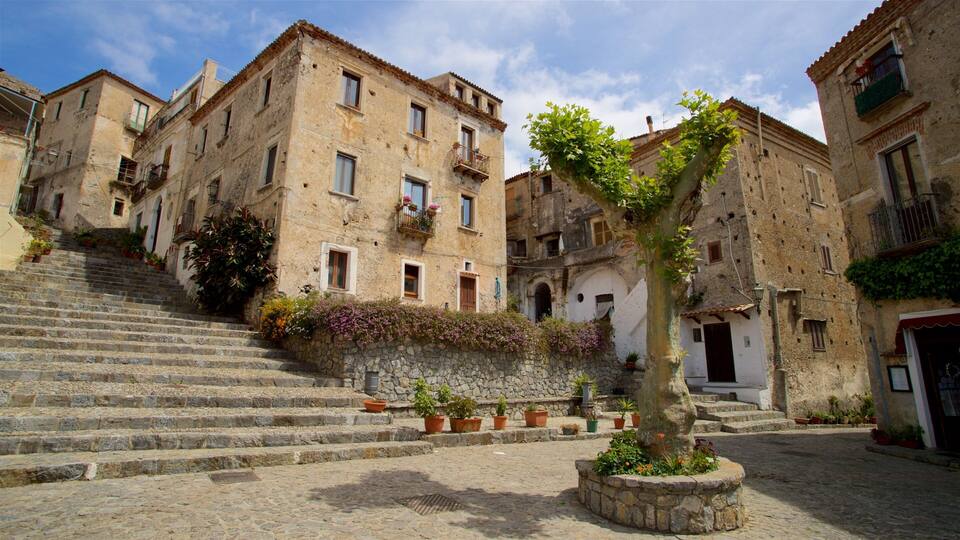 A cobblestone street with stone buildings, a tree with climbing plants, and steps leading up to a building.