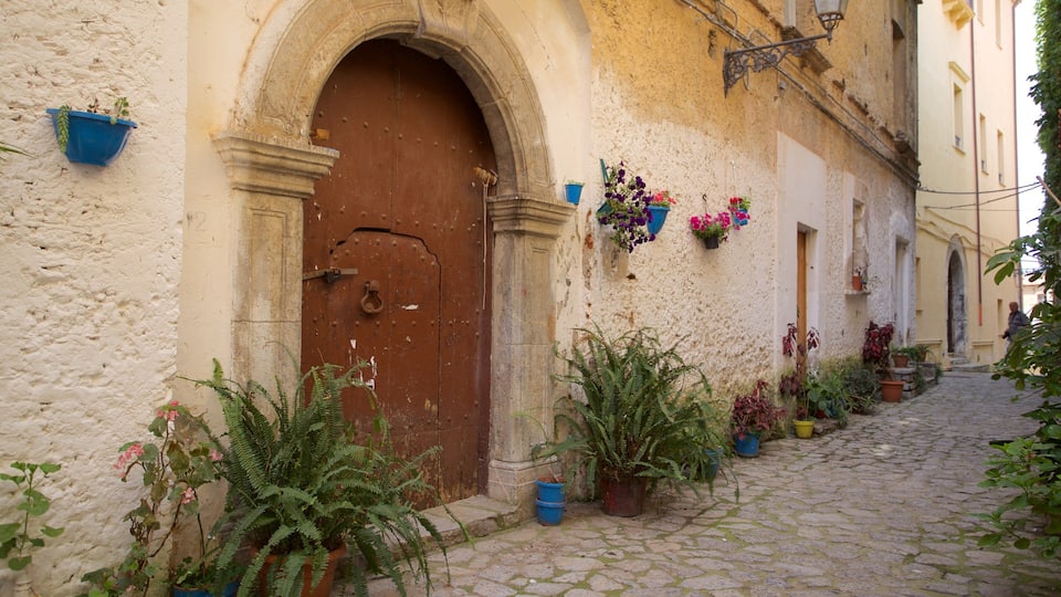 A cobblestone street with a large arched door, potted plants, and hanging flower baskets.