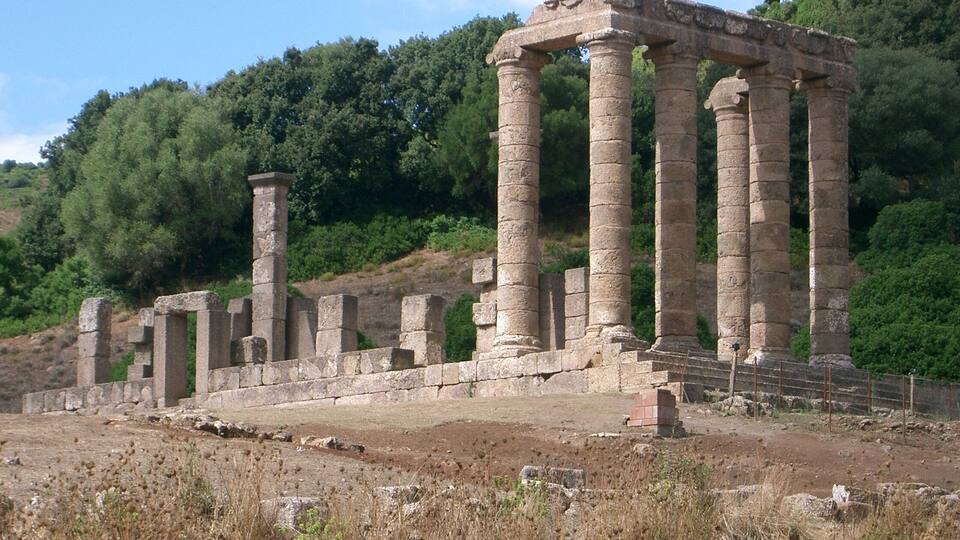 Ancient stone columns and ruins in a forested area.