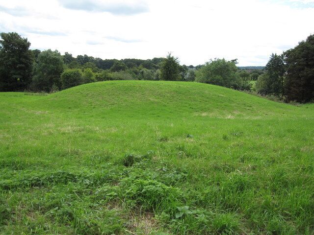 A grassy hill with trees in the background.