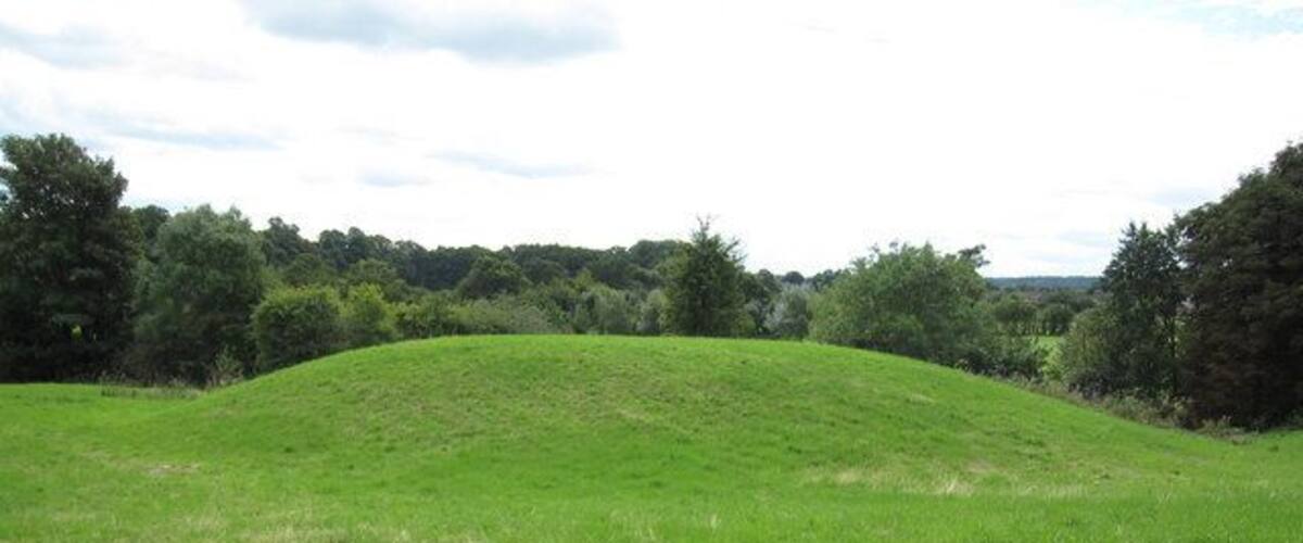 A grassy hill with trees in the background.