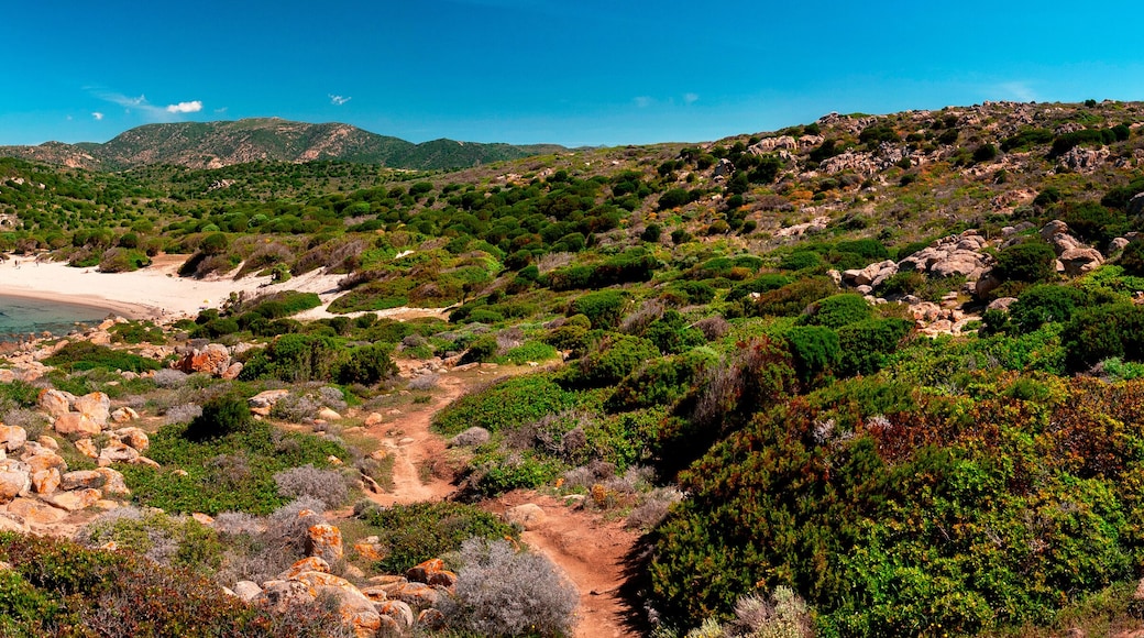 Sardegna, la splendida spiaggia di Cala Cipolla, Italia, Europa occidentale