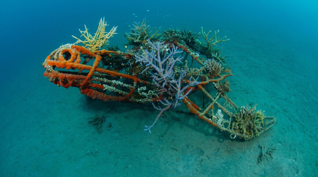 EYJ9BD A turtle shaped artificial reef, part of the Bio Rock Project in Pemuteran, North West Bali, Indonesia, Pacific Ocean