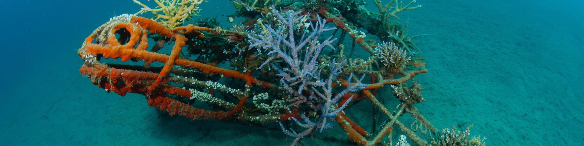 EYJ9BD A turtle shaped artificial reef, part of the Bio Rock Project in Pemuteran, North West Bali, Indonesia, Pacific Ocean