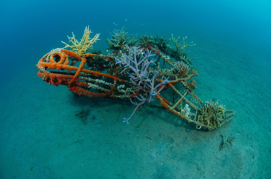 EYJ9BD A turtle shaped artificial reef, part of the Bio Rock Project in Pemuteran, North West Bali, Indonesia, Pacific Ocean