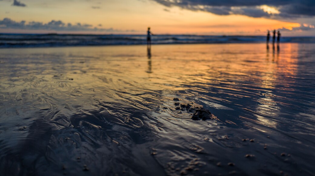 Canggu