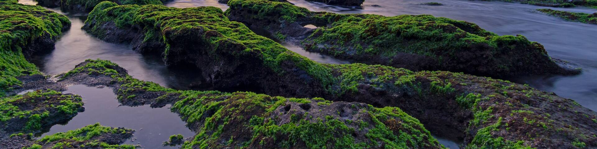 Sunset over Tanah Lot temple in Canggu, Bali, Indonesia.