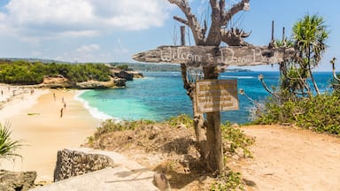 Dream beach in Nusa Lembongan island, right of the coast of Bali in Indonesia. The island is much less developed than Bali.; Shutterstock ID 560923228; Purchase Order: SP-2026; Order Number: SP-2026 Go Guide images research for Bali (Indonesia); Client/Licensee: Hotels.com; Other: Lee Ban Twan