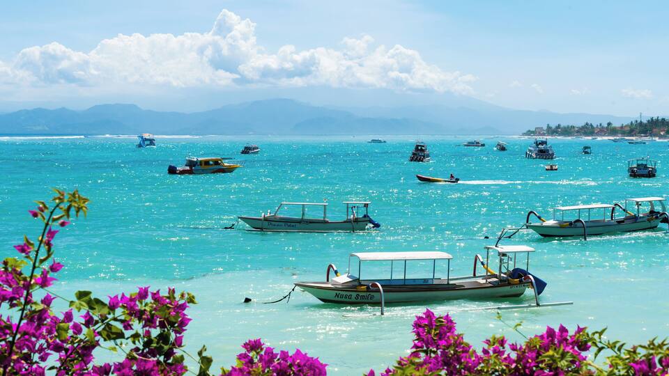 A turquoise sea with numerous boats and vibrant pink flowers in the foreground.
