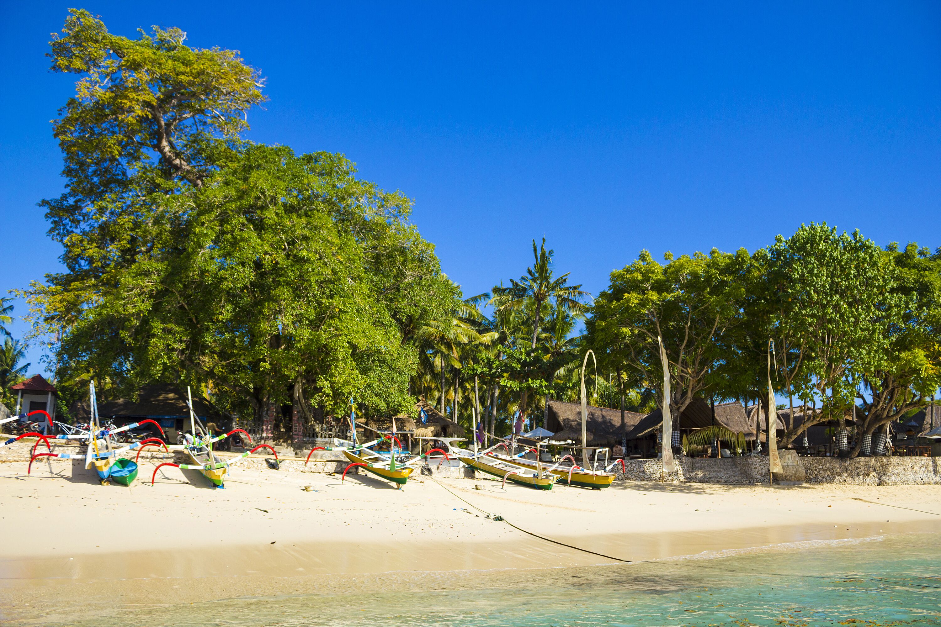 A beach with boats, palm trees, and thatched-roof huts.
