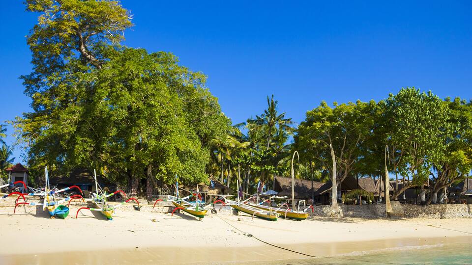 A beach with boats, palm trees, and thatched-roof huts.