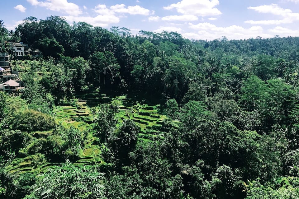 Terraced rice fields, dense tropical forest, and traditional houses.