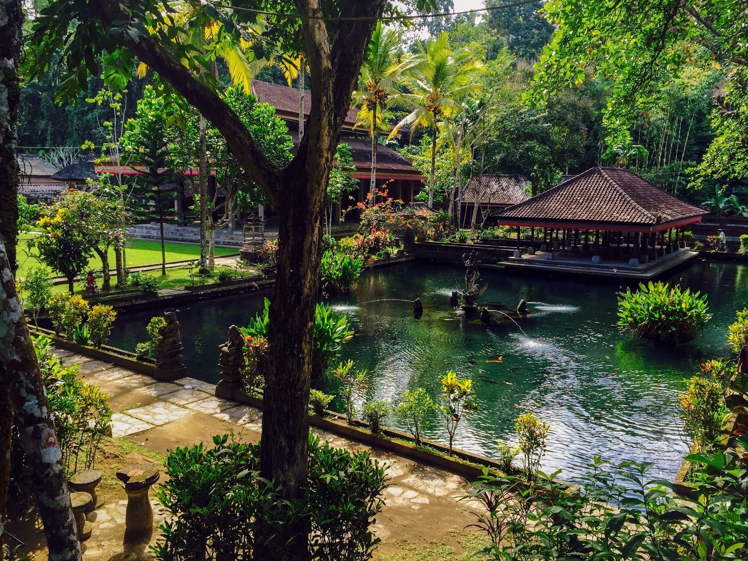 A serene garden with a pond, lush greenery, and traditional architecture.
