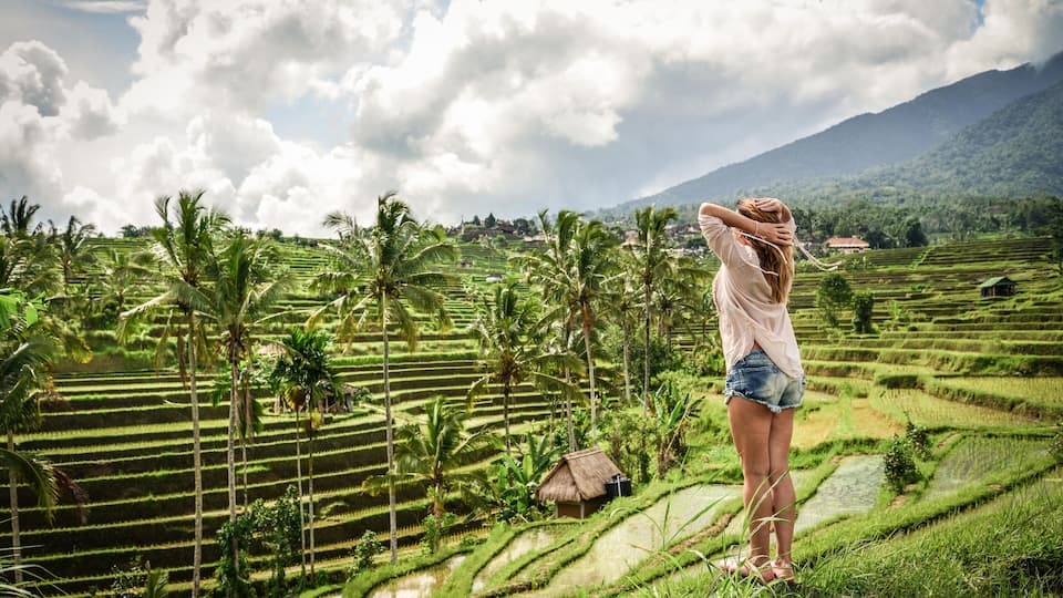 A woman standing on a terraced rice field with palm trees and a mountain in the background.