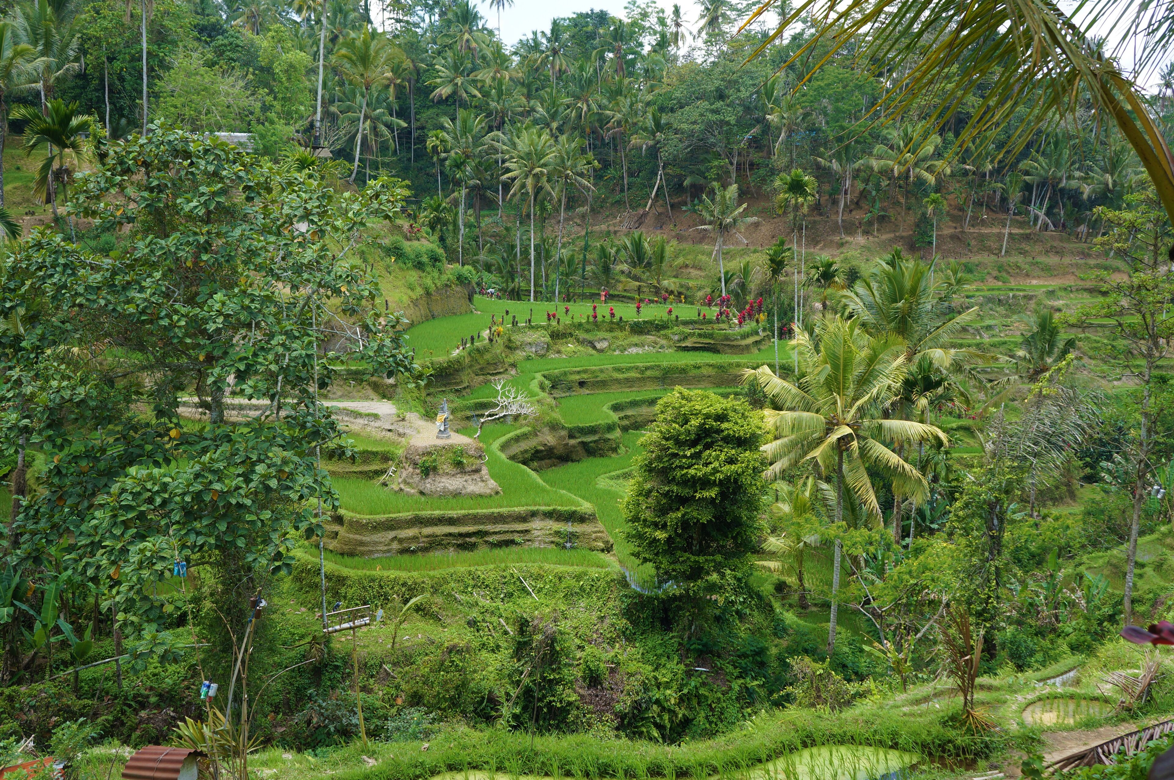 View point / photo stop / adult adventure play ground. So well looked after, it almost looks unreal from the top