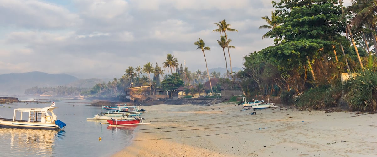 A beach with boats, palm trees, and a distant mountain range.