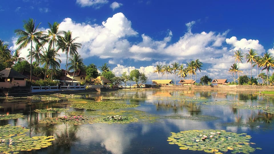 A calm lake with lily pads, palm trees, and traditional houses.