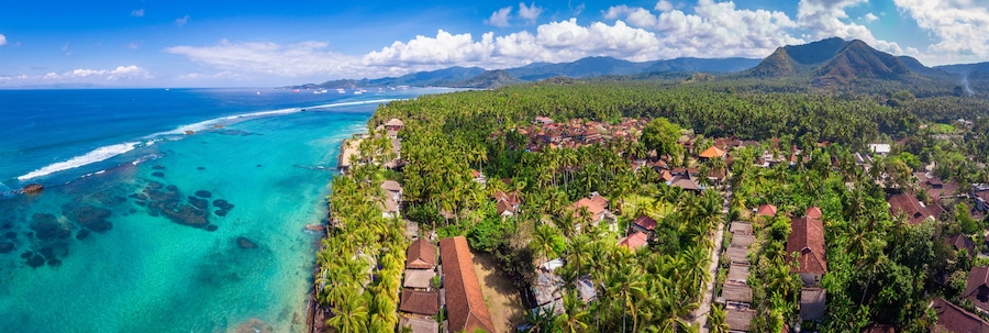 A coastal village with clear turquoise waters, dense palm trees, and a mountain in the background.