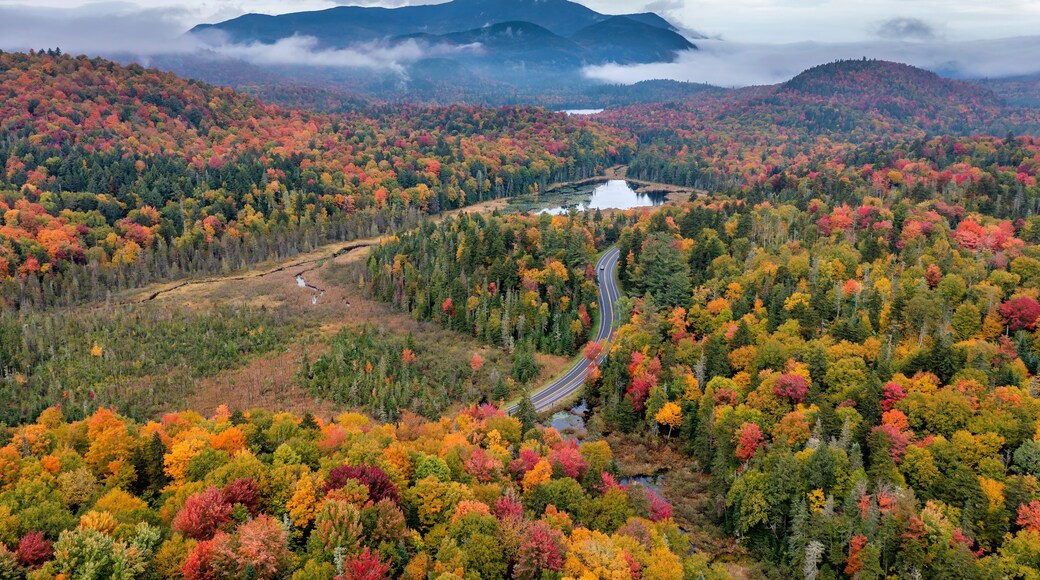 Aerial Cherry Patch Pond