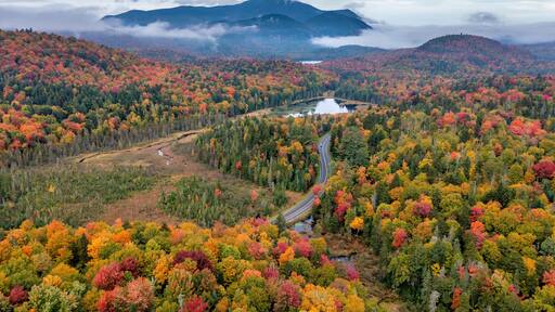 ์ฒด๋ฆฌ๋ฐธ๋ฆฌ