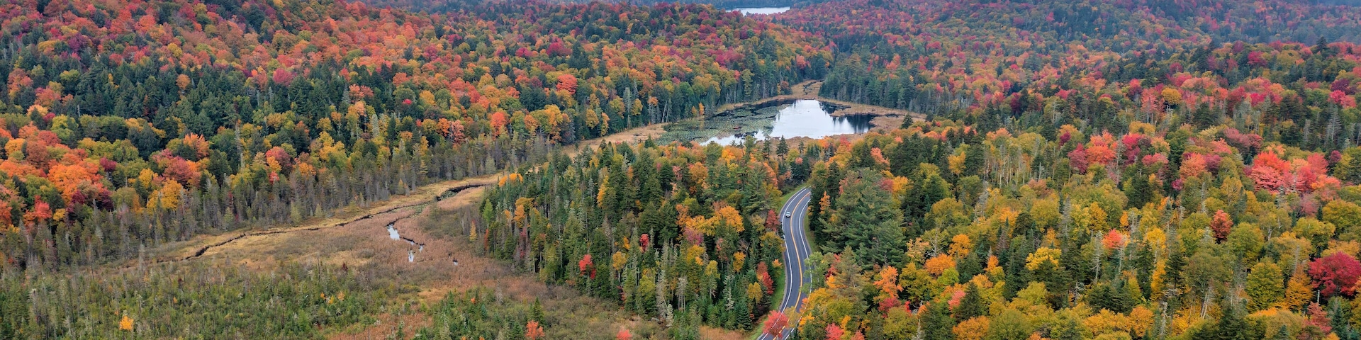 Aerial Cherry Patch Pond