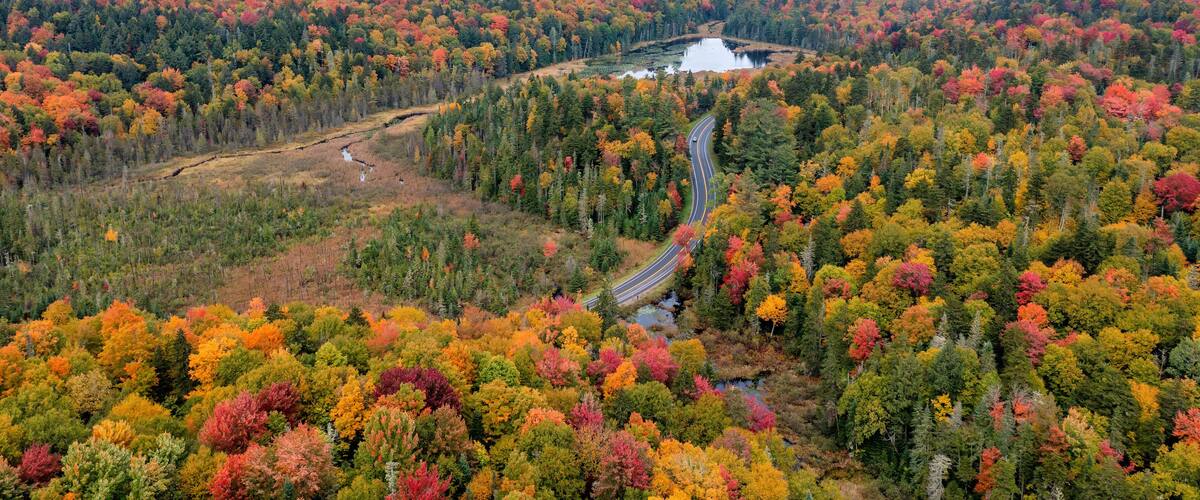 A winding road through a forest with autumn foliage, a lake, and mountains in the background.