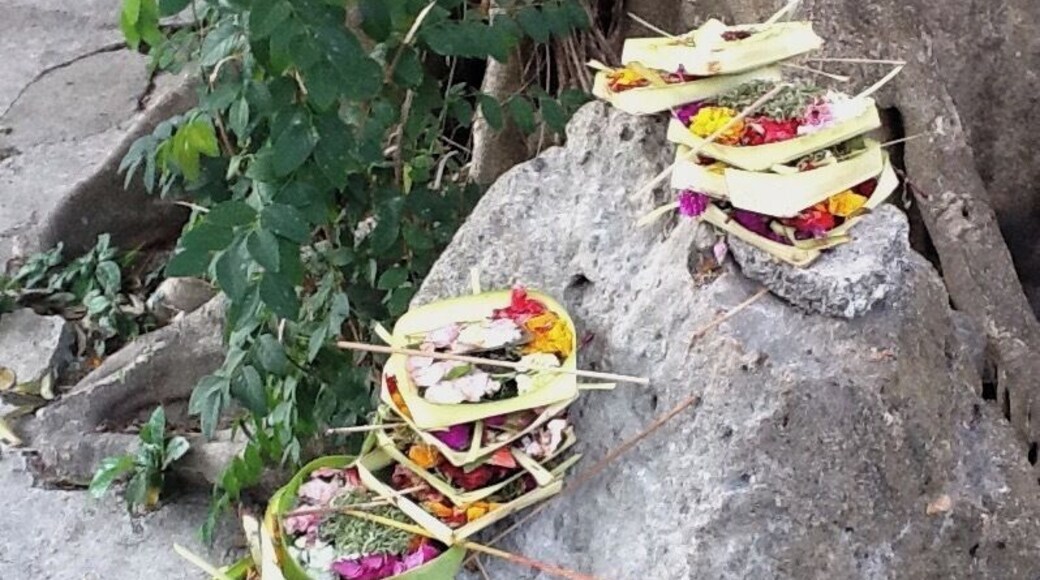 Throughout Bali, Indonesia, you can find these Hindu offerings at both temples and auspicious places.
In the local market there are several vendors who sell the various parts of these offerings.