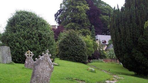 Churchyard, St John the Baptist, Buckhorn Weston The church is situated on a hillside and the subsidence damage is clearly visible.
