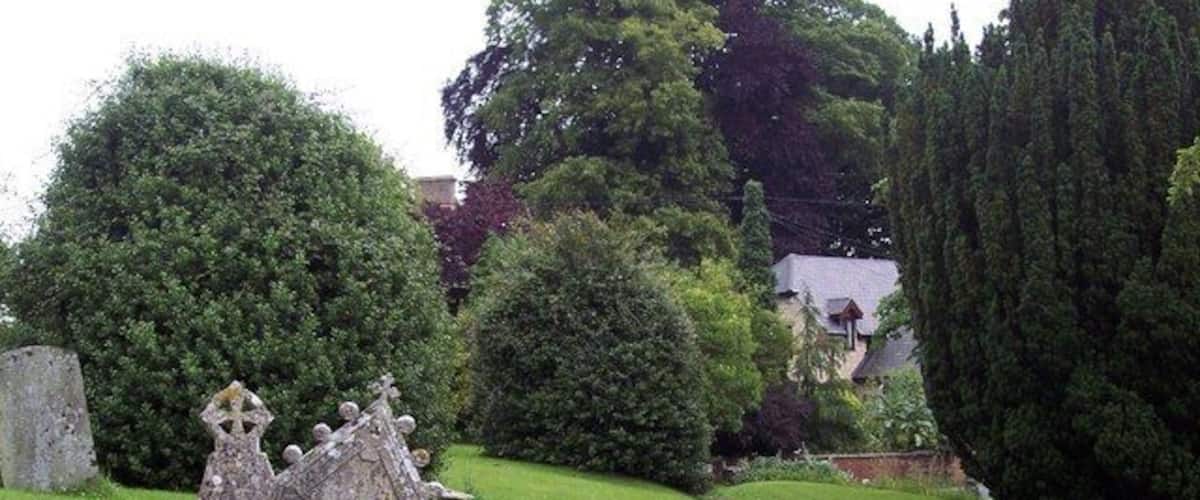 A cemetery with gravestones, a stone path, and lush greenery.