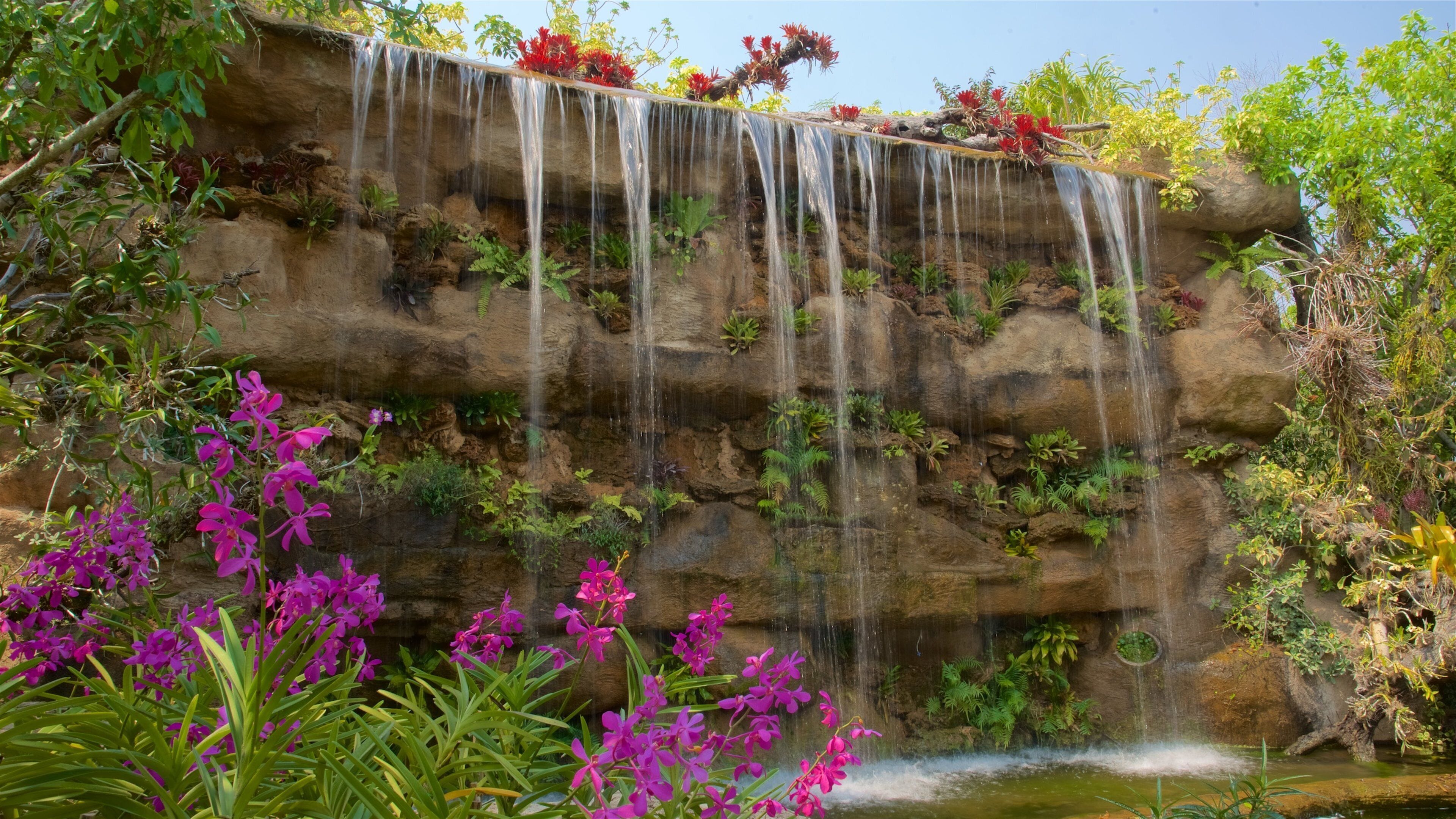 Nord de la Thaïlande montrant cascade, parc et fleurs