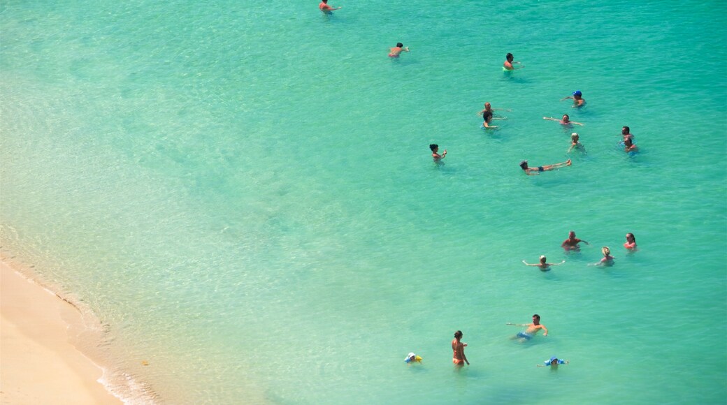 South Thailand showing general coastal views, a beach and tropical scenes