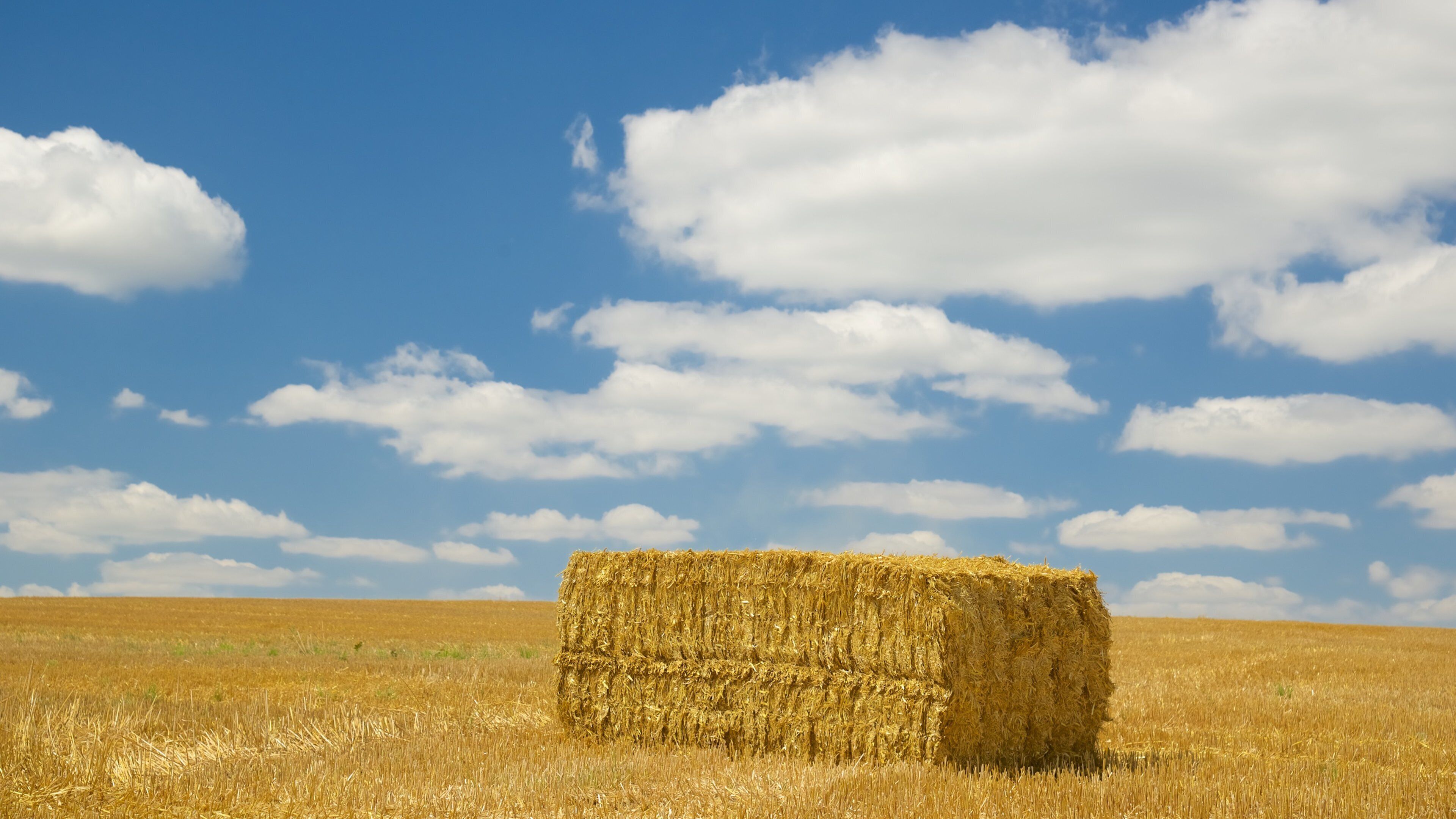 Sachsen som viser landbrugsområde