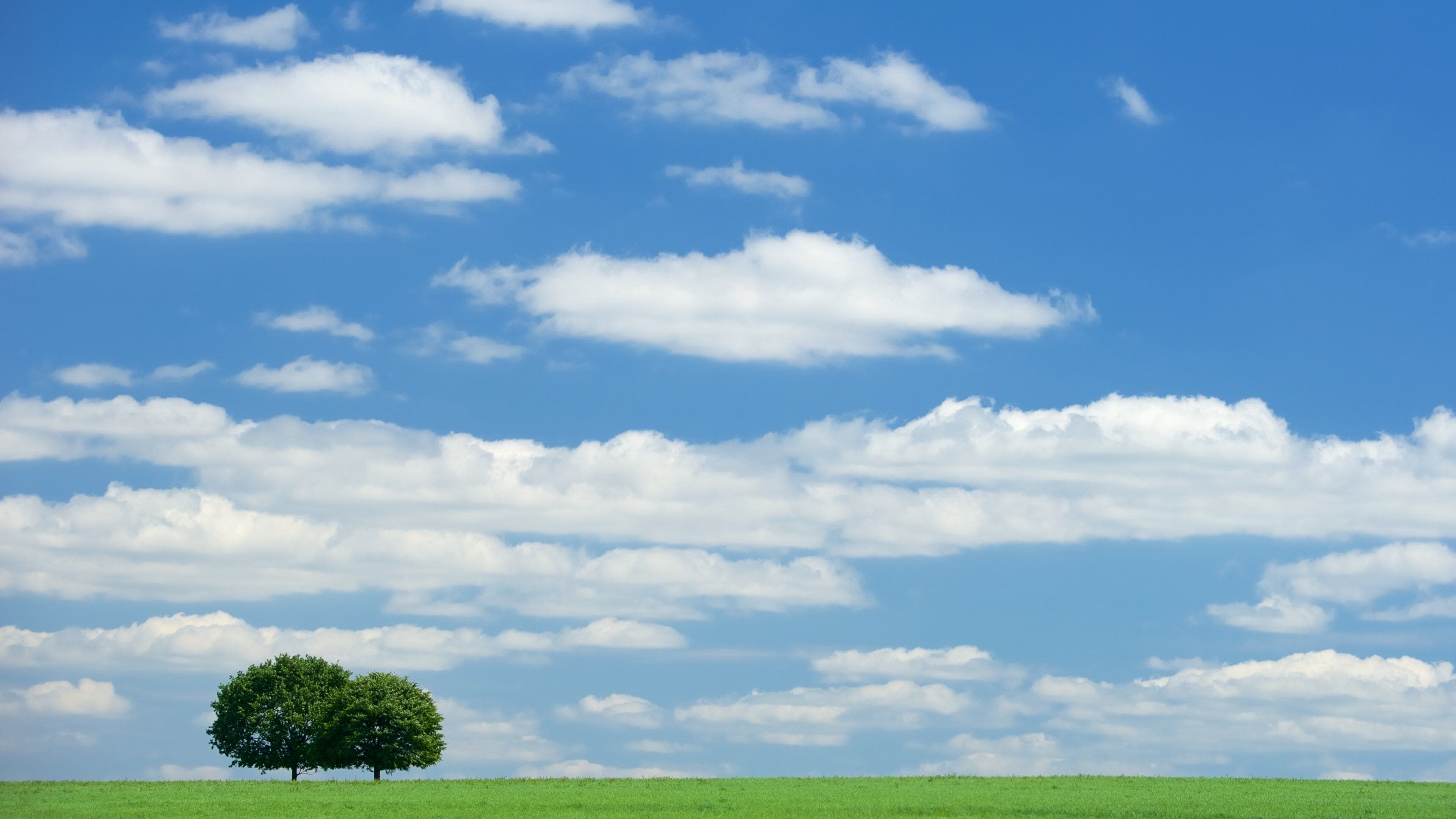 Saxe mettant en vedette panoramas