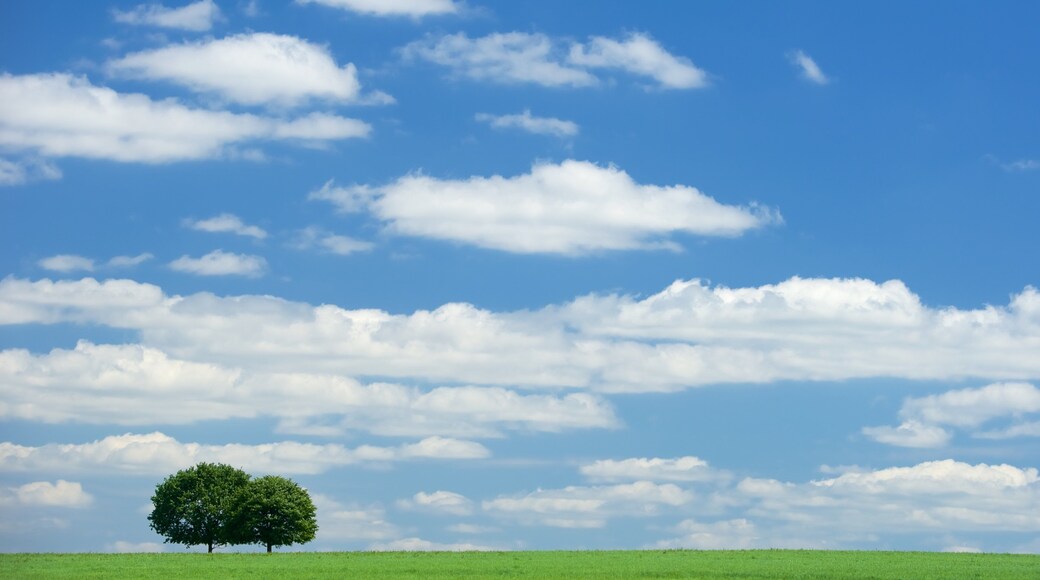 Saxe mettant en vedette panoramas