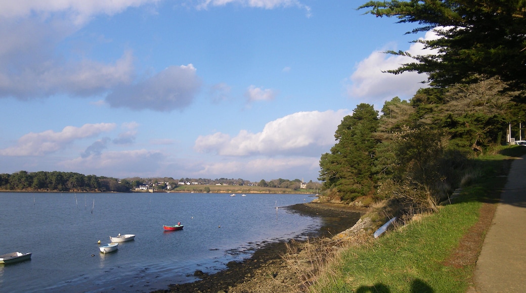 vue depuis la pointe d'arradon