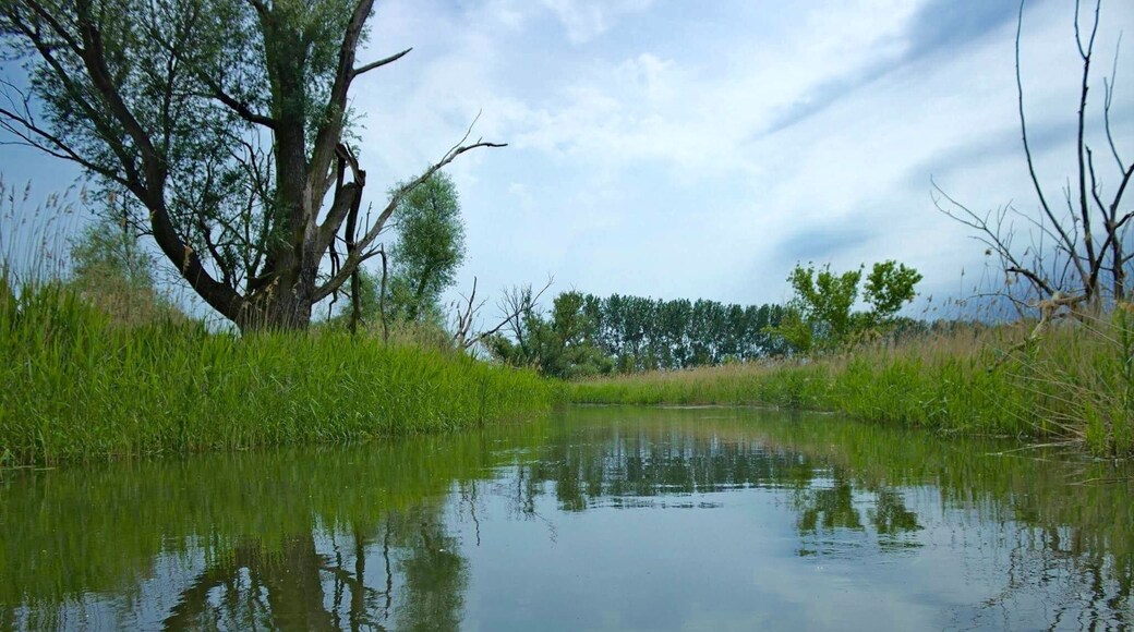 Kajaktour im Oderbruch
Kayaking through Oderbruch