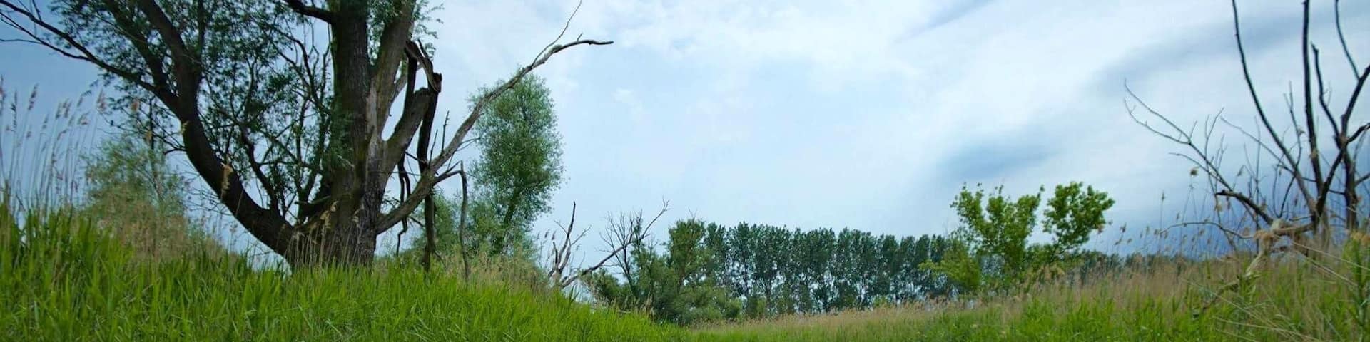 Kajaktour im Oderbruch
Kayaking through Oderbruch