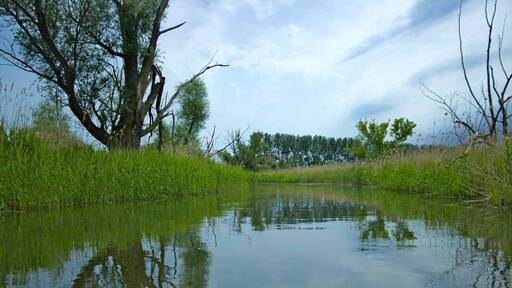 Kajaktour im Oderbruch
Kayaking through Oderbruch