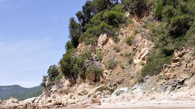 A clear coastal beach with rocky cliffs and sparse vegetation.