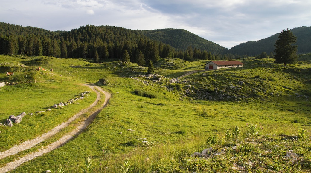 Altopiano dei Sette Comuni (Q49962786)